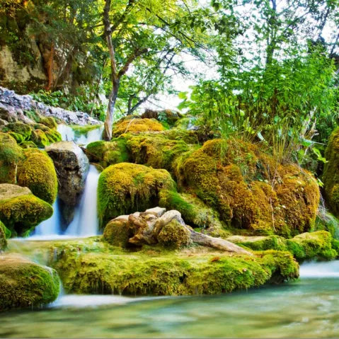 Photo Backdrop: Who says Step and Repeat Can Only Be Letters and Logos?